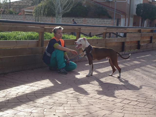 multimedia-foto48179-793-3