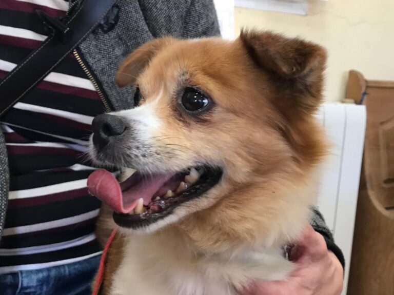 multimedia-foto48204-153-1