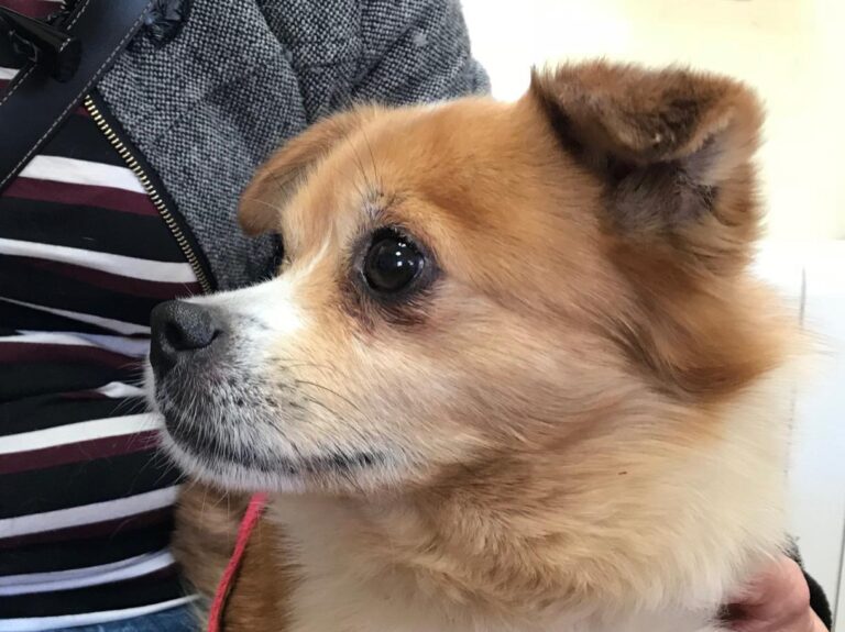 multimedia-foto48205-153-1