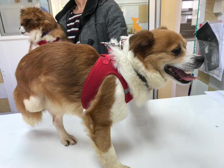 multimedia-foto48206-154-1