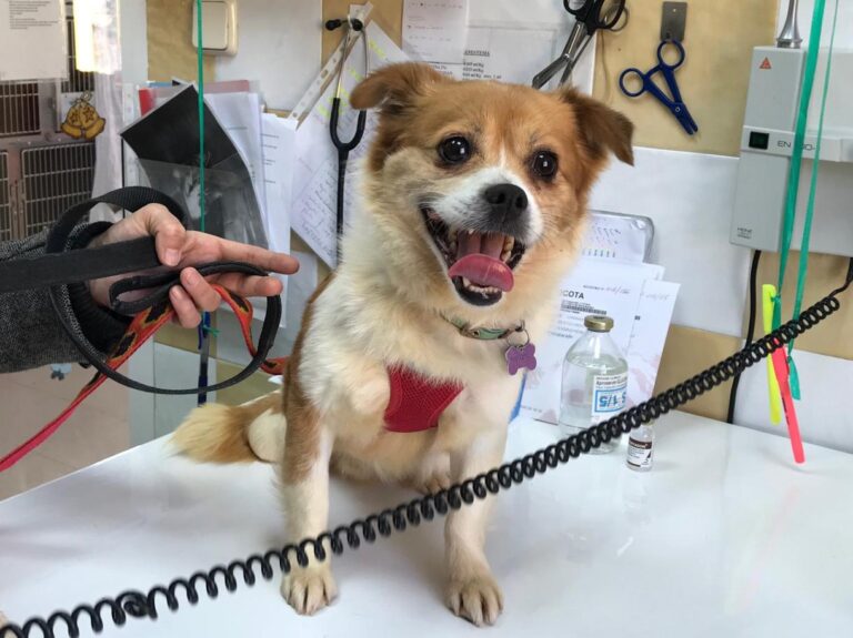 multimedia-foto48207-154-1