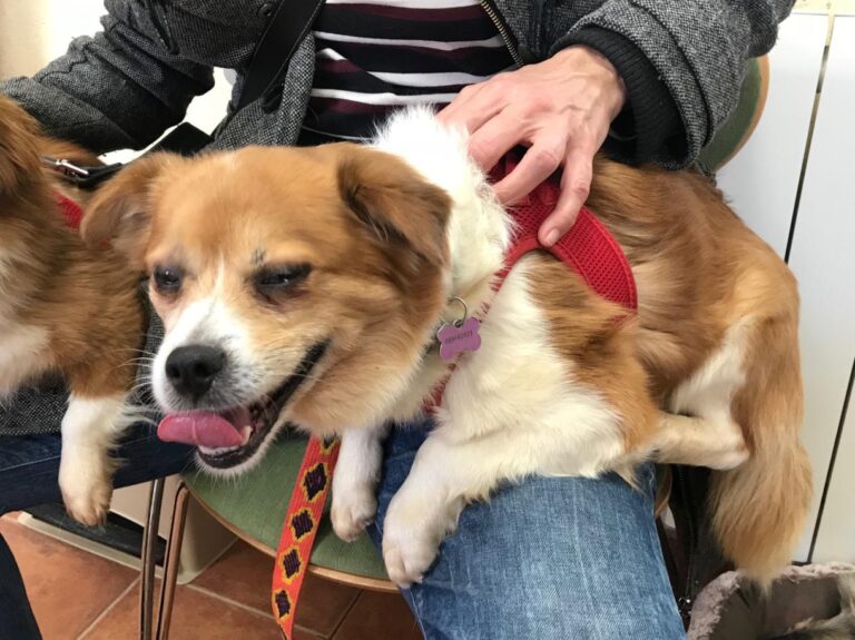 multimedia-foto48208-154-1