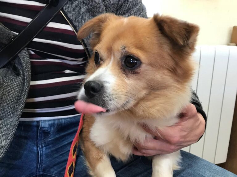 multimedia-foto48209-154-1