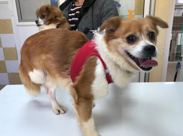 multimedia-foto48210-239-1