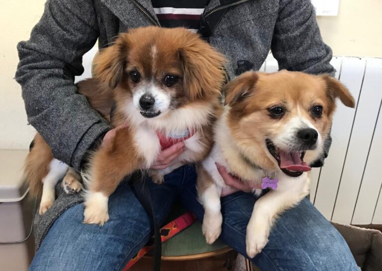 multimedia-foto48211-239-1