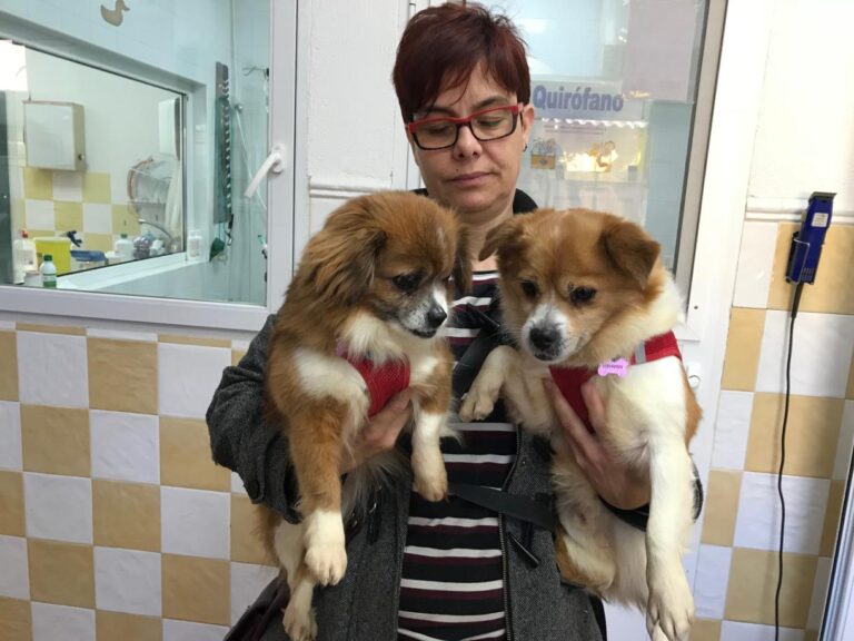 multimedia-foto48213-240-1