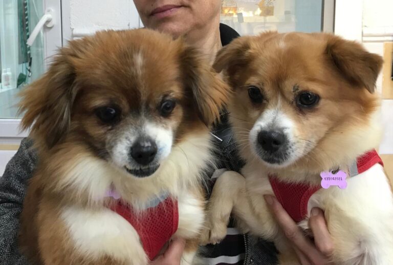 multimedia-foto48214-240-1