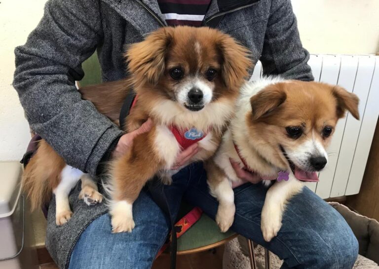 multimedia-foto48215-240-1