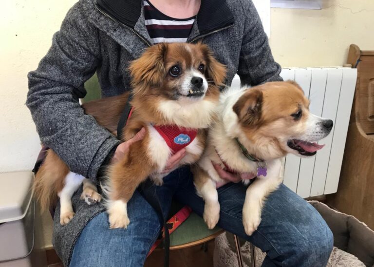 multimedia-foto48216-241-1