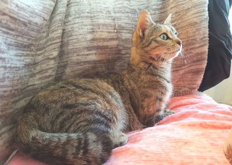 multimedia-foto48271-952-1