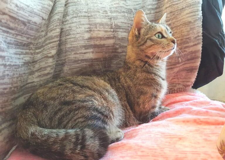 multimedia-foto48272-291-1