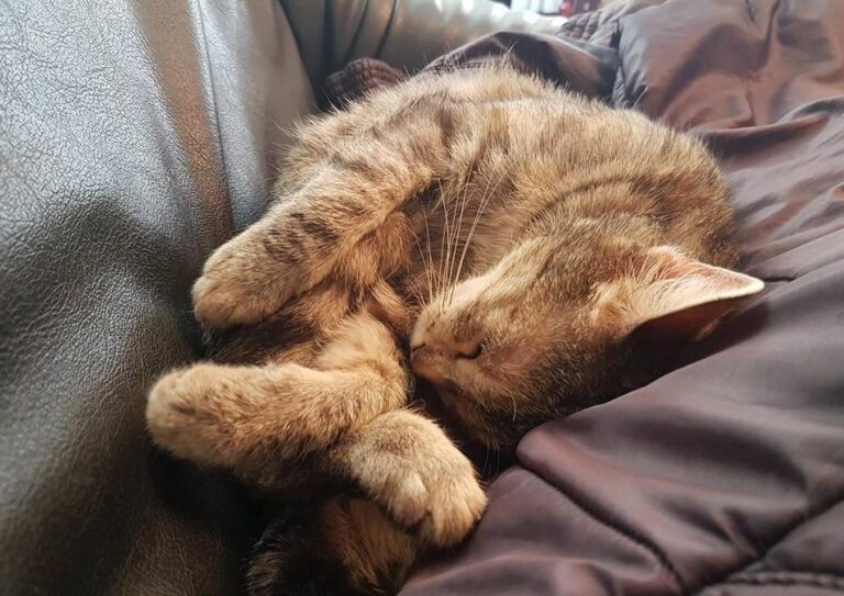 multimedia-foto48273-292-1