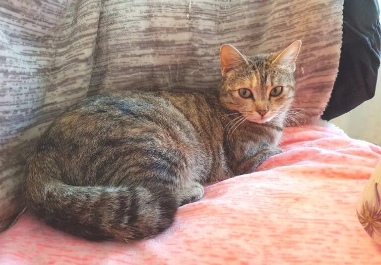 multimedia-foto48274-292-1