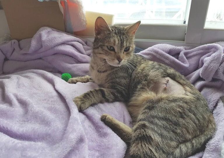 multimedia-foto48275-292-1