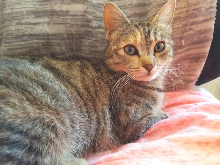 multimedia-foto48276-292-1