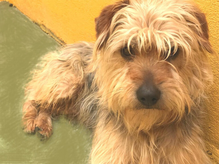 multimedia-foto48340-788-1