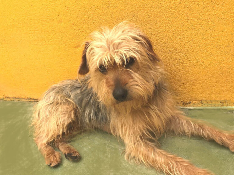 multimedia-foto48341-789-1