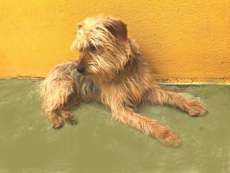 multimedia-foto48342-789-1