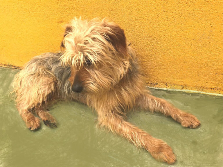 multimedia-foto48343-789-1