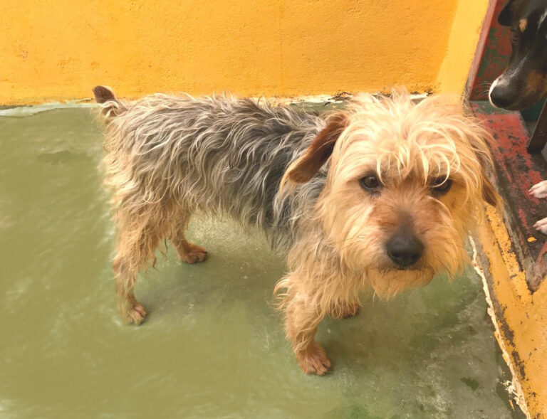 multimedia-foto48344-790-1