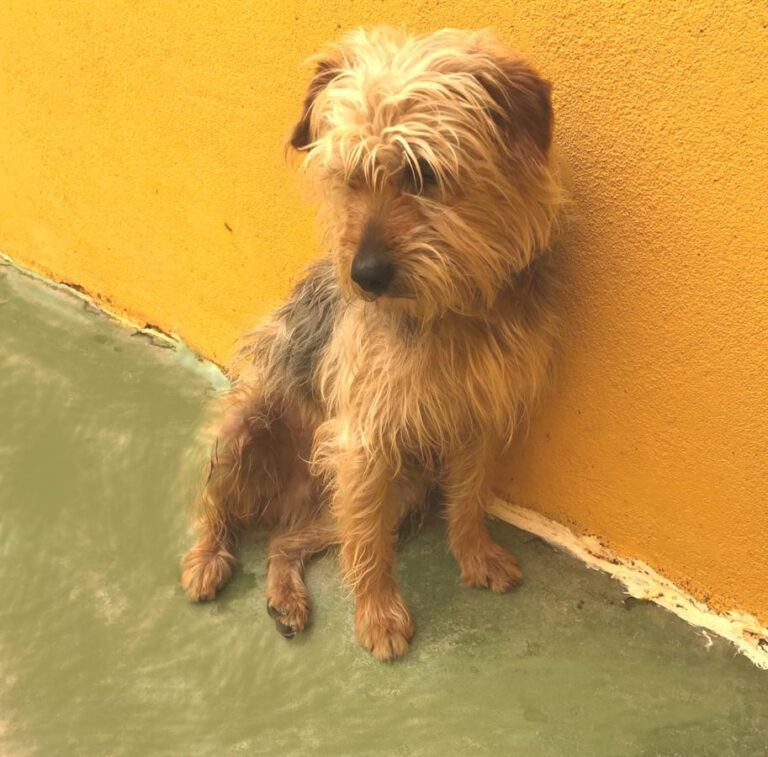 multimedia-foto48346-791-1