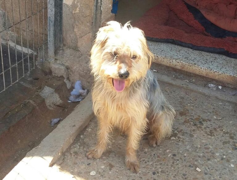 multimedia-foto48347-821-1