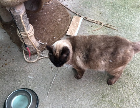 multimedia-foto48399-376-1