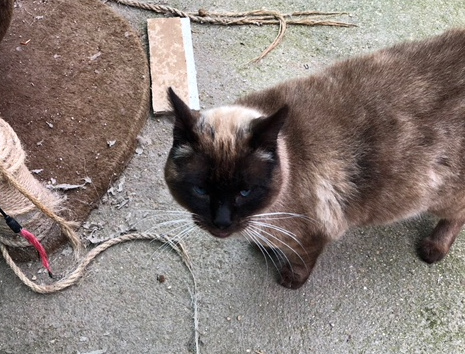 multimedia-foto48400-376-1