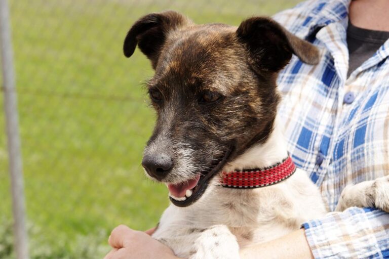 multimedia-foto48415-323-1