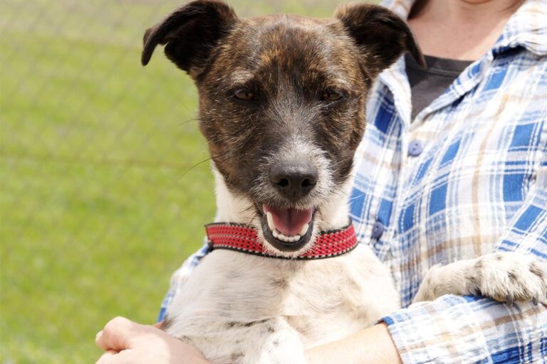 multimedia-foto48416-324-1