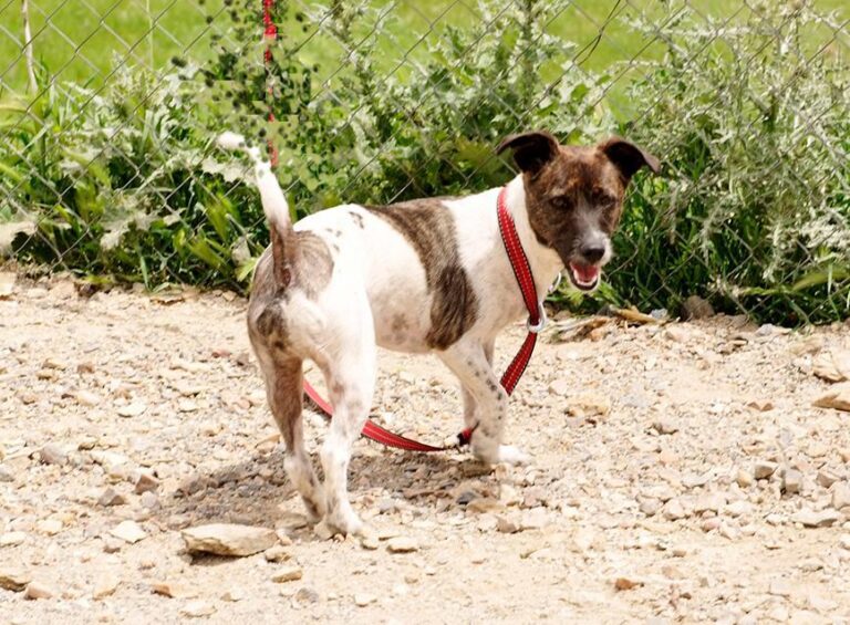 multimedia-foto48417-324-1