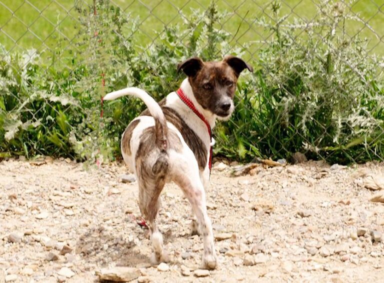 multimedia-foto48419-325-1