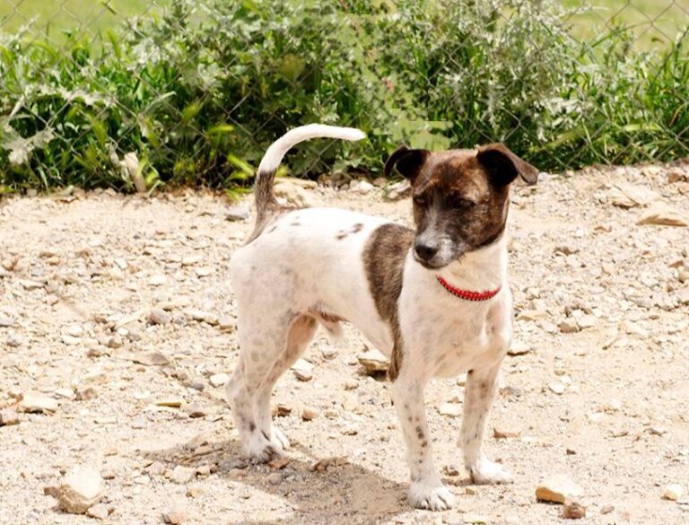 multimedia-foto48420-325-1