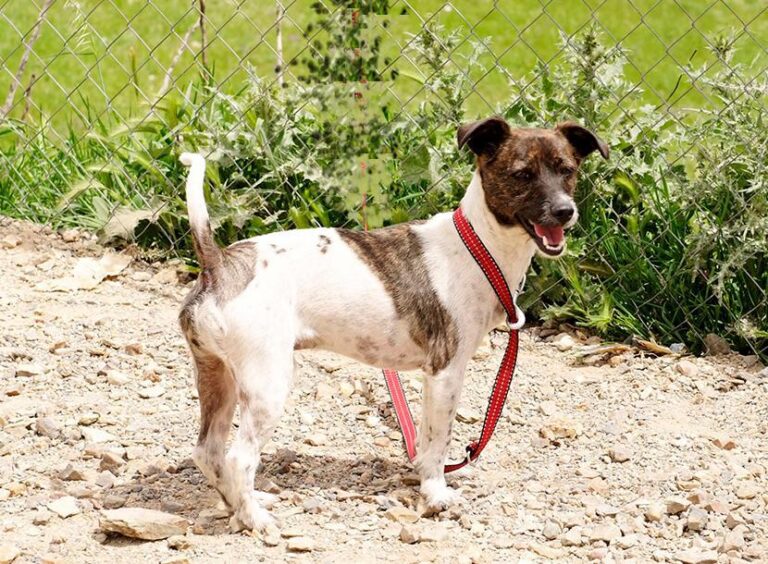 multimedia-foto48421-325-1