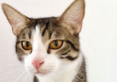 multimedia-foto48422-125-3