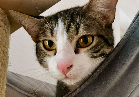 multimedia-foto48423-125-3