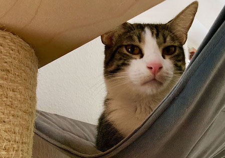 multimedia-foto48424-126-3