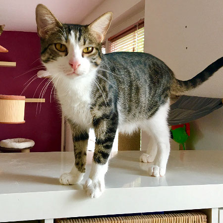 multimedia-foto48425-126-3