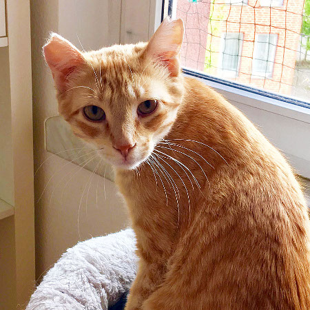 multimedia-foto48426-203-1