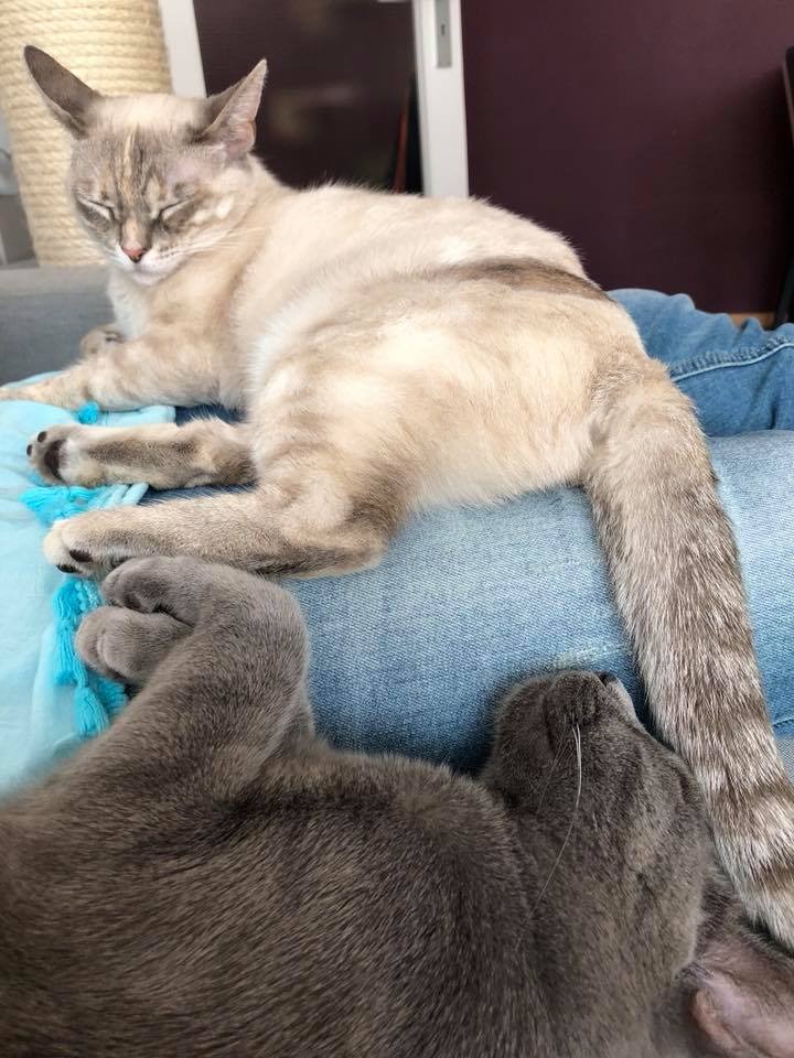 multimedia-foto48427-258-3