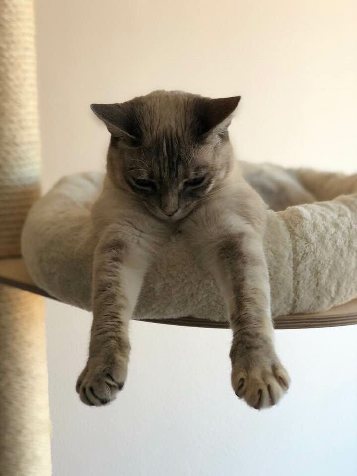 multimedia-foto48428-258-3