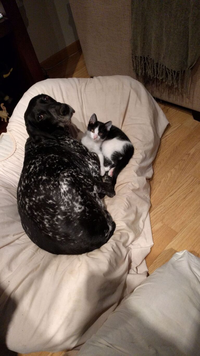 multimedia-foto48438-727-1