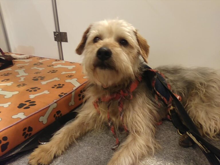 multimedia-foto48448-259-1