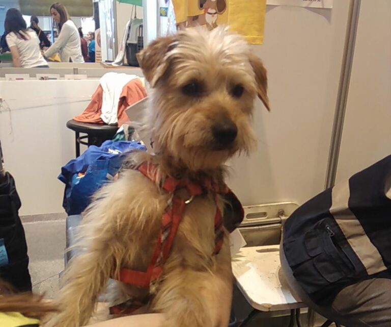 multimedia-foto48449-259-1