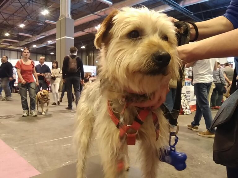 multimedia-foto48450-259-1