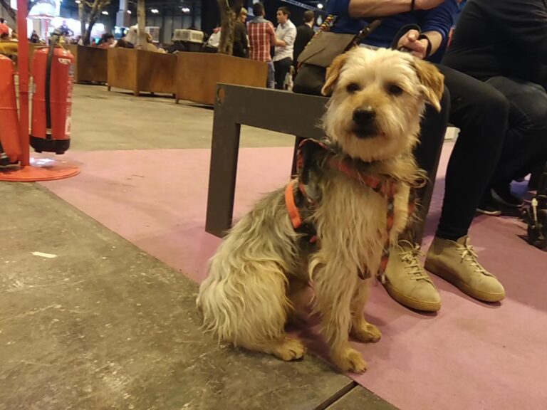 multimedia-foto48451-260-1