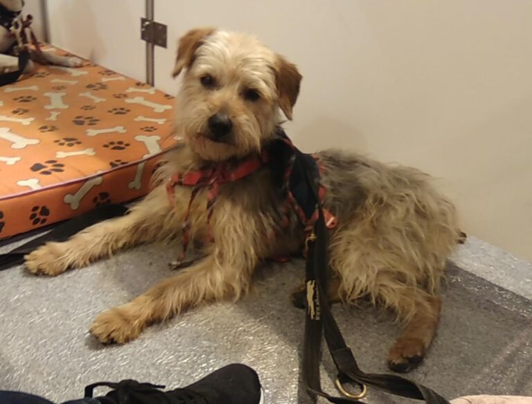 multimedia-foto48453-287-1