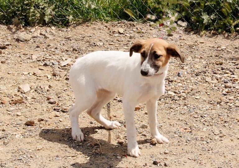 multimedia-foto48511-270-1