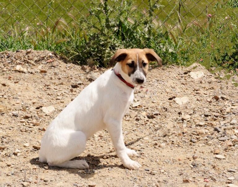 multimedia-foto48512-270-1