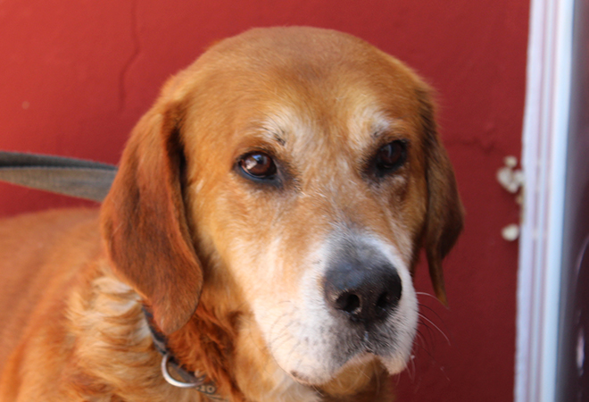 multimedia-foto48526-834-1